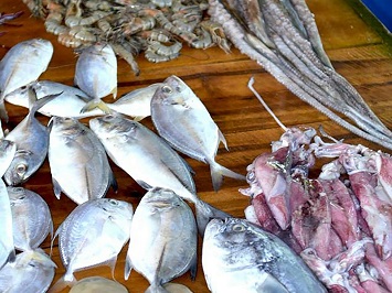 Negombo Fish Market